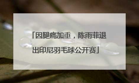 因腿痛加重，陈雨菲退出印尼羽毛球公开赛