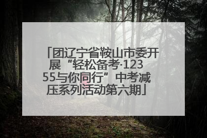 团辽宁省鞍山市委开展“轻松备考·12355与你同行”中考减压系列活动第六期