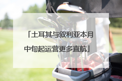 土耳其与叙利亚本月中旬起运营更多直航