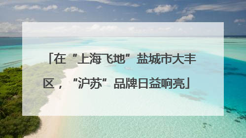 在“上海飞地”盐城市大丰区，“沪苏”品牌日益响亮
