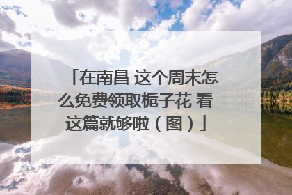在南昌 这个周末怎么免费领取栀子花 看这篇就够啦（图）