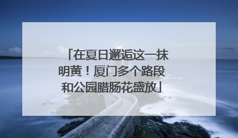 在夏日邂逅这一抹明黄！厦门多个路段和公园腊肠花盛放