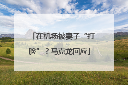 在机场被妻子“打脸”？马克龙回应