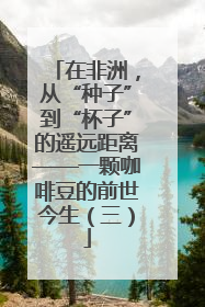 在非洲，从“种子”到“杯子”的遥远距离——一颗咖啡豆的前世今生（三）