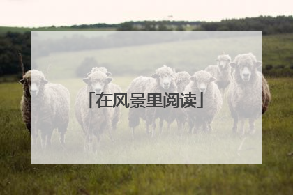 在风景里阅读