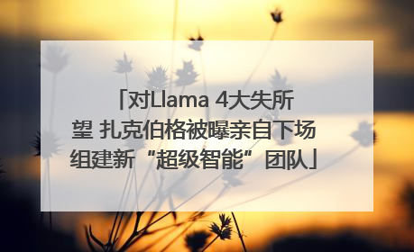 对Llama 4大失所望 扎克伯格被曝亲自下场组建新“超级智能”团队
