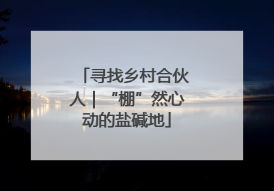 寻找乡村合伙人｜“棚”然心动的盐碱地