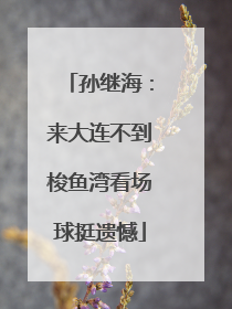 孙继海：来大连不到梭鱼湾看场球挺遗憾