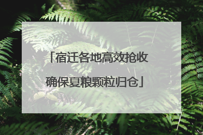 宿迁各地高效抢收 确保夏粮颗粒归仓