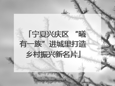 宁夏兴庆区 “曦有一族”进城里打造乡村振兴新名片