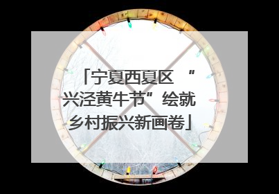 宁夏西夏区 “兴泾黄牛节”绘就乡村振兴新画卷