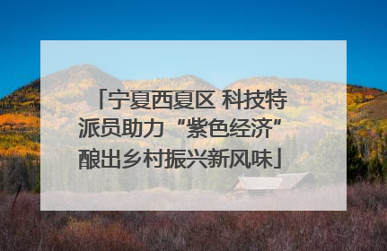 宁夏西夏区 科技特派员助力“紫色经济”酿出乡村振兴新风味