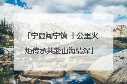 宁夏闽宁镇 十公里火炬传承共赴山海情深