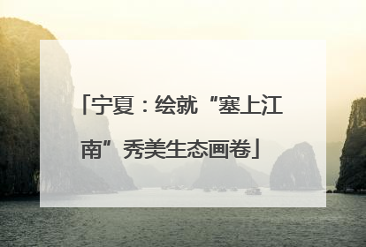 宁夏：绘就“塞上江南”秀美生态画卷