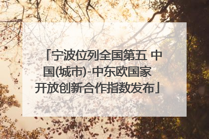 宁波位列全国第五 中国(城市)-中东欧国家开放创新合作指数发布