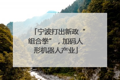 宁波打出新政“组合拳”，加码人形机器人产业