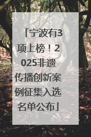 宁波有3项上榜！2025非遗传播创新案例征集入选名单公布