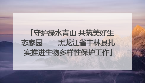 守护绿水青山 共筑美好生态家园——黑龙江省丰林县扎实推进生物多样性保护工作