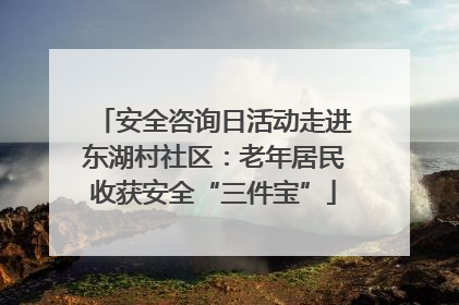 安全咨询日活动走进东湖村社区：老年居民收获安全“三件宝”