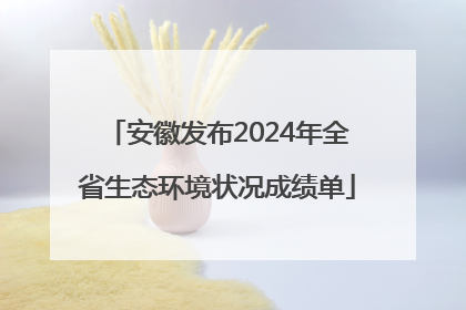 安徽发布2024年全省生态环境状况成绩单