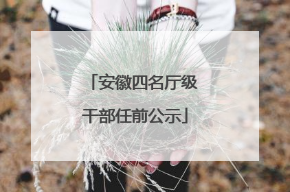安徽四名厅级干部任前公示