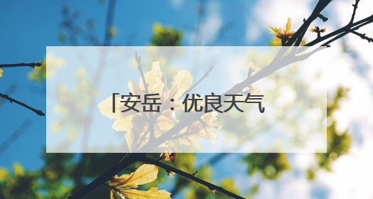 安岳：优良天气324天 生态治理成效显著