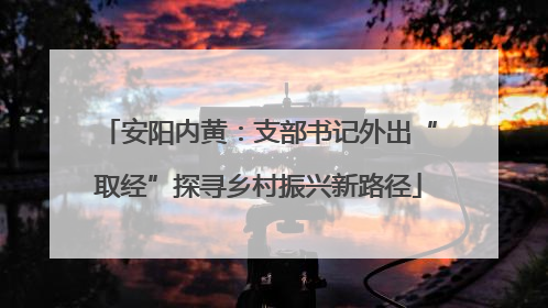 安阳内黄：支部书记外出“取经”探寻乡村振兴新路径