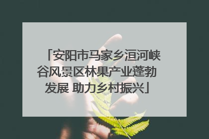 安阳市马家乡洹河峡谷风景区林果产业蓬勃发展 助力乡村振兴