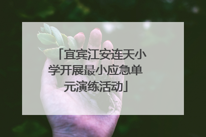 宜宾江安连天小学开展最小应急单元演练活动