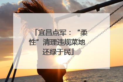宜昌点军：“柔性”清理违规菜地 还绿于民