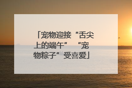 宠物迎接“舌尖上的端午” “宠物粽子”受喜爱