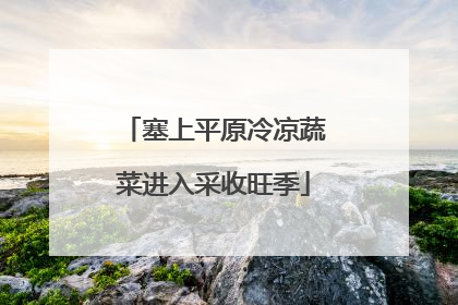 塞上平原冷凉蔬菜进入采收旺季