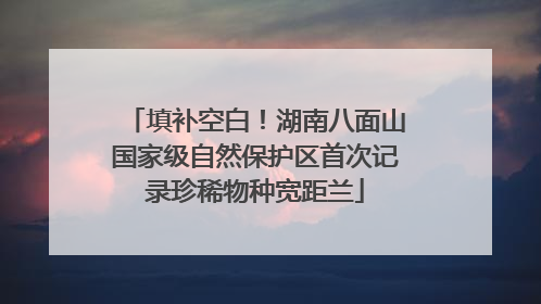 填补空白！湖南八面山国家级自然保护区首次记录珍稀物种宽距兰