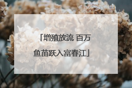 增殖放流 百万鱼苗跃入富春江