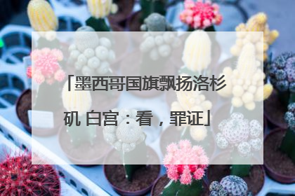 墨西哥国旗飘扬洛杉矶 白宫：看，罪证