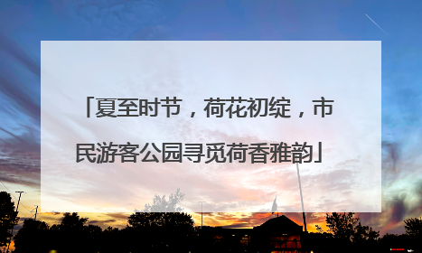 夏至时节，荷花初绽，市民游客公园寻觅荷香雅韵