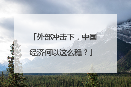 外部冲击下，中国经济何以这么稳？