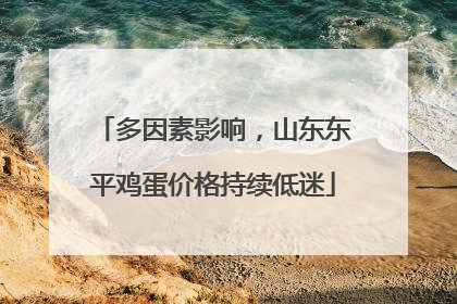 多因素影响，山东东平鸡蛋价格持续低迷