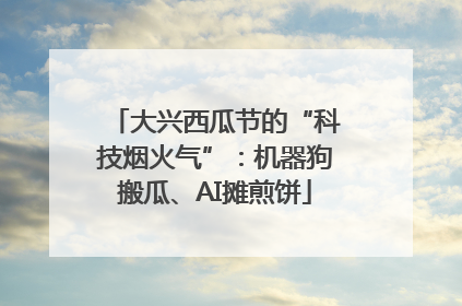 大兴西瓜节的“科技烟火气”：机器狗搬瓜、AI摊煎饼