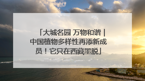 大城名园 万物和谐｜中国植物多样性再添新成员！它只在西藏墨脱