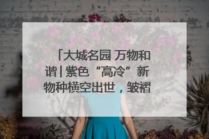 大城名园 万物和谐│紫色“高冷”新物种横空出世，皱褶叶片暗藏进化密码