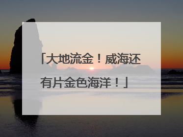 大地流金！威海还有片金色海洋！