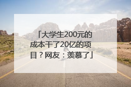 大学生200元的成本干了20亿的项目？网友：羡慕了