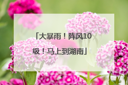 大暴雨！阵风10级！马上到湖南