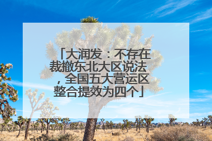 大润发：不存在裁撤东北大区说法，全国五大营运区整合提效为四个