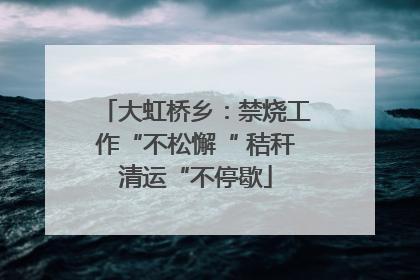 大虹桥乡：禁烧工作“不松懈“ 秸秆清运“不停歇