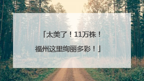 太美了！11万株！福州这里绚丽多彩！
