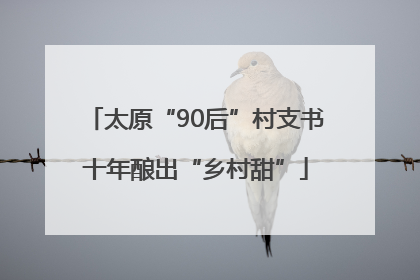 太原“90后”村支书十年酿出“乡村甜”