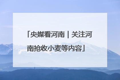央媒看河南｜关注河南抢收小麦等内容