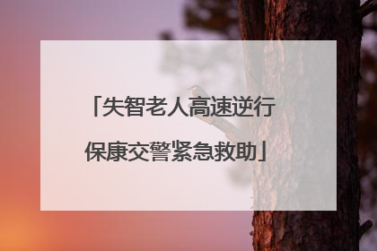 失智老人高速逆行 保康交警紧急救助
